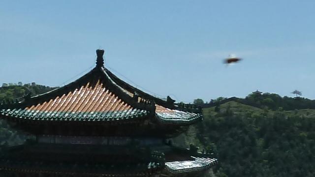 ufo图片外星人是否存在（ufo和外星人的图片）