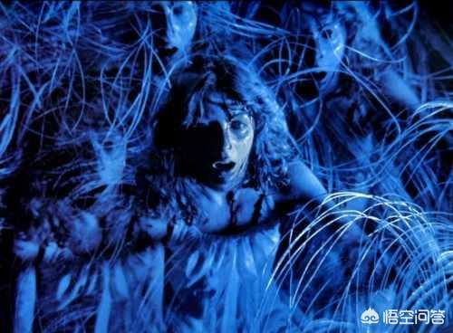 全网恐怖片排行榜（全网十大恐怖片）