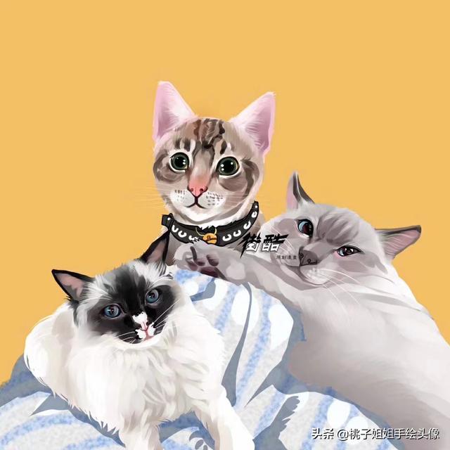 罕见的动物图片（罕见动物图片欣赏）