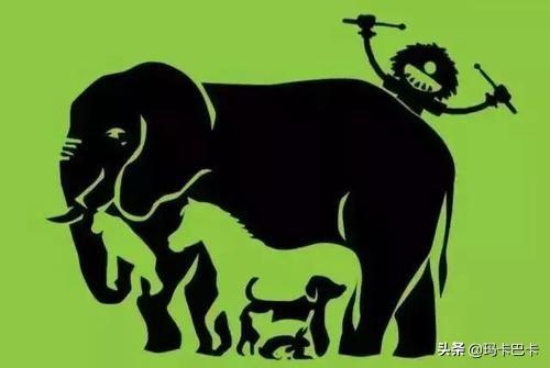 最适合给女朋友讲的睡前故事