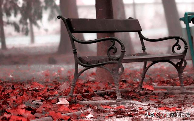 很真实的爱情故事（真实故事爱情故事）