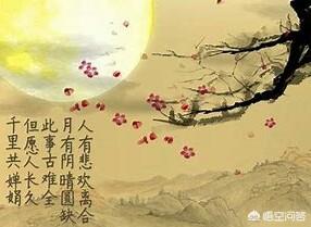 关于月亮的诗句大全（关于月亮的诗句20个）