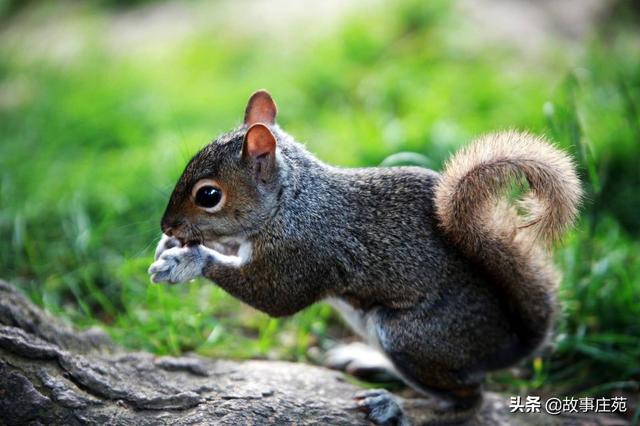 儿童童话故事怎么写（儿童经典童话故事视频大全连续播放完整）