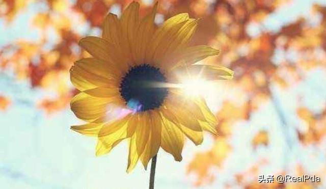 晨会励志小故事带感悟8个（晨会励志小故事带感悟8个字图片）