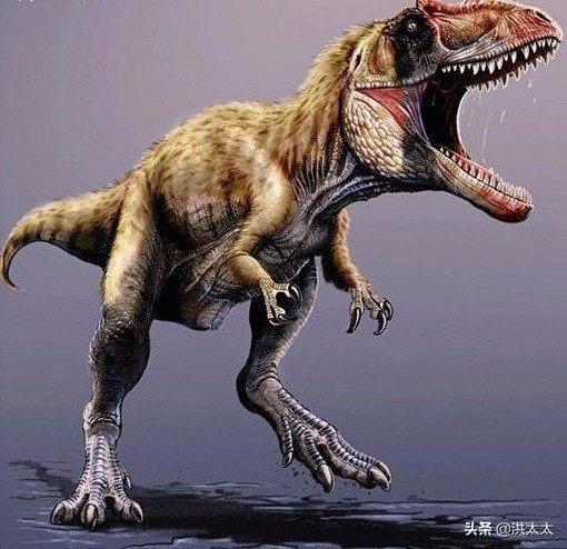 霸王龙故事 小儿故事（霸王龙故事大全集文章）