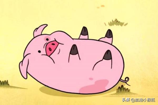 小故事女朋友爱情故事（女朋友讲的小故事爱情）