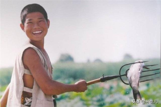 小兵张嘎的故事30字（小兵张嘎的故事30字左右）