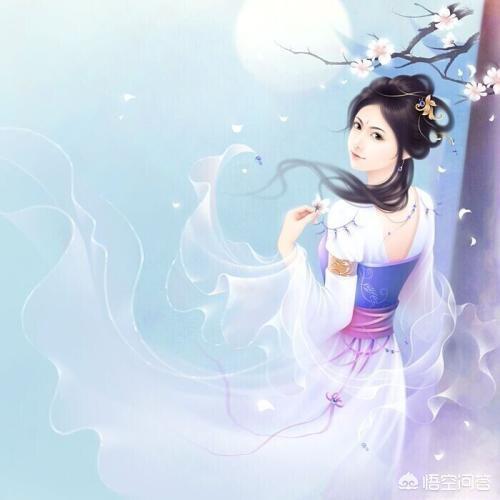 关于月亮的故事图片（关于月亮旳故事）