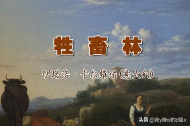 传奇故事小说（传奇故事小说在线阅读）