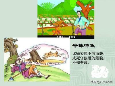 守株待兔寓言故事的道理（守株待兔这则寓言故事告诉我们了什么道理）