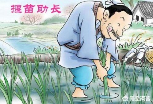 揠苗助长明白什么道理（揠苗助长的道理是）